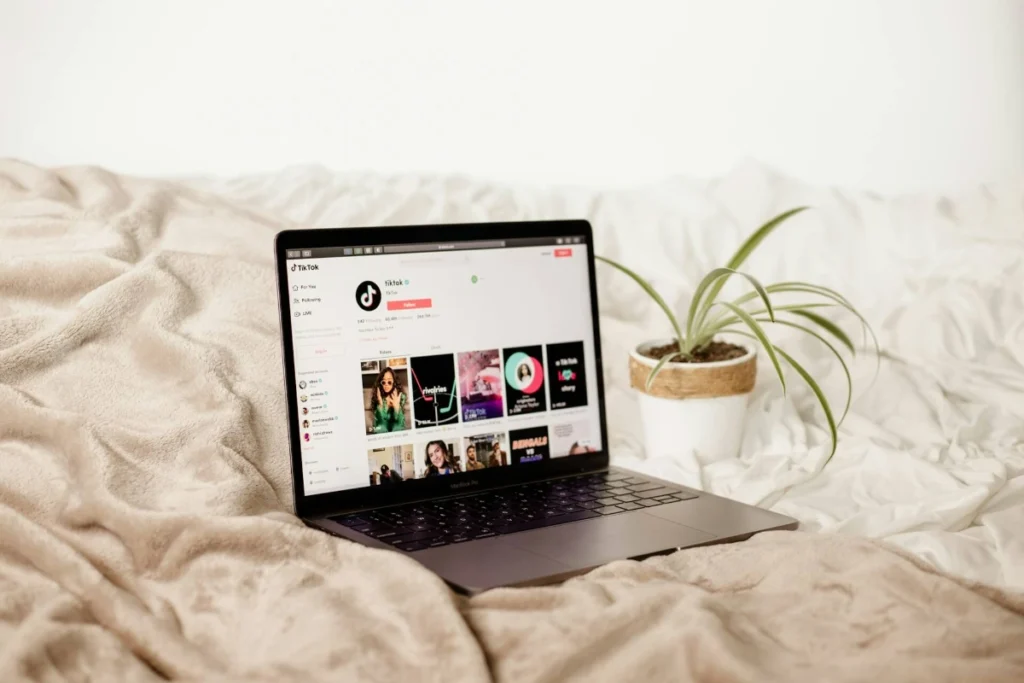 crea un UGC portfolio